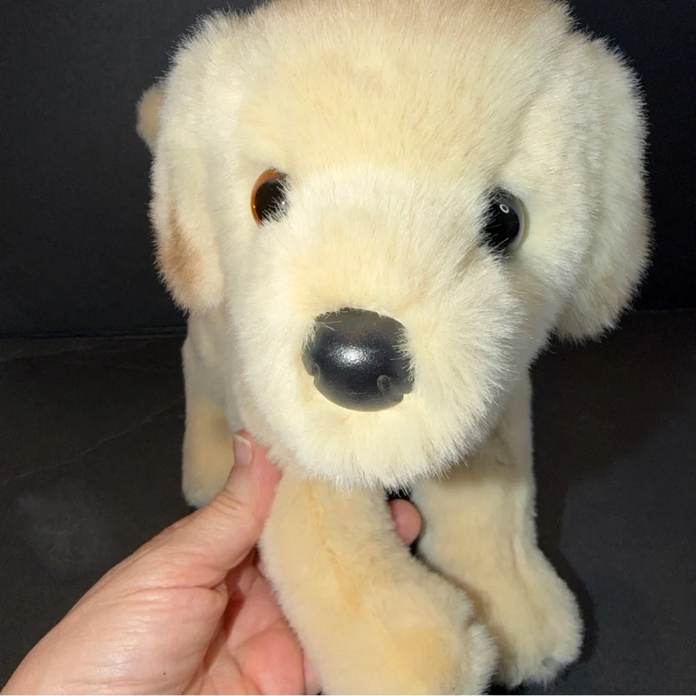 Douglas yellow lab
